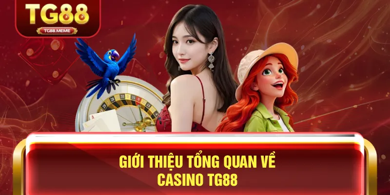 Giới Thiệu Tổng Quan Về Casino TG88