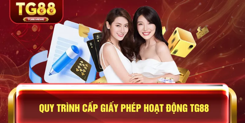 Quy Trình Cấp Giấy Phép Hoạt Động TG88